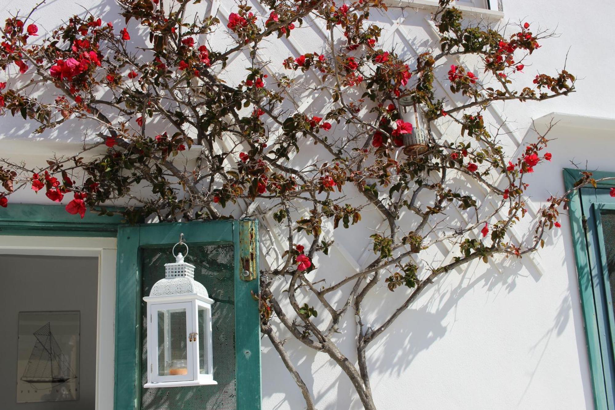 La Mansarda Sul Porto Apartment Ponza Exterior photo